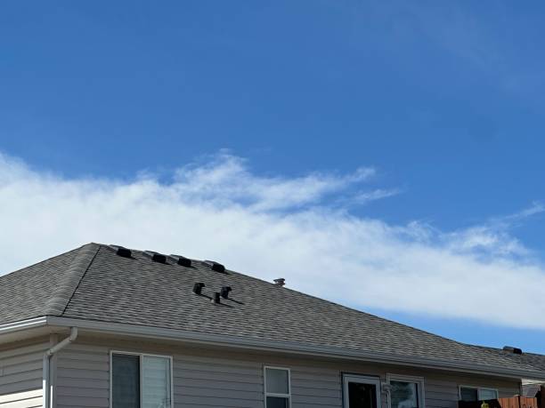 Fast & Reliable Emergency Roof Repairs in Leipsic, OH